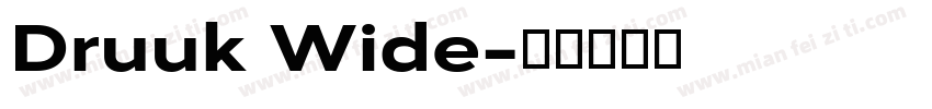 Druuk Wide字体转换